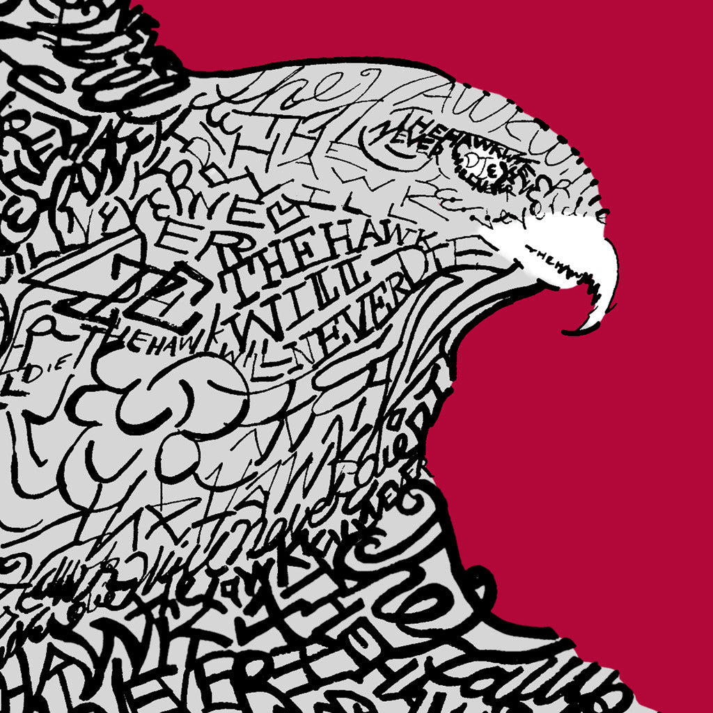 St Joes Hawks Wall Decor Print