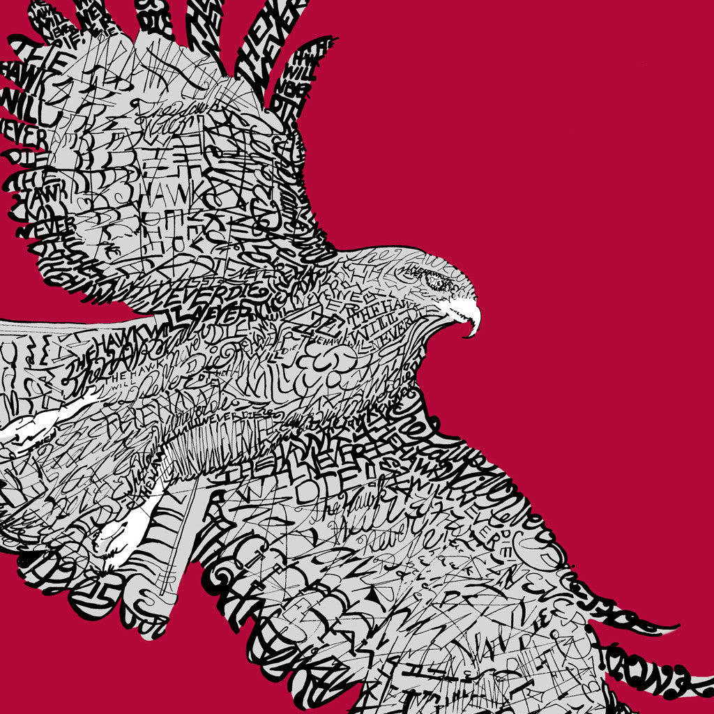 St Joes Hawks Wall Art Poster